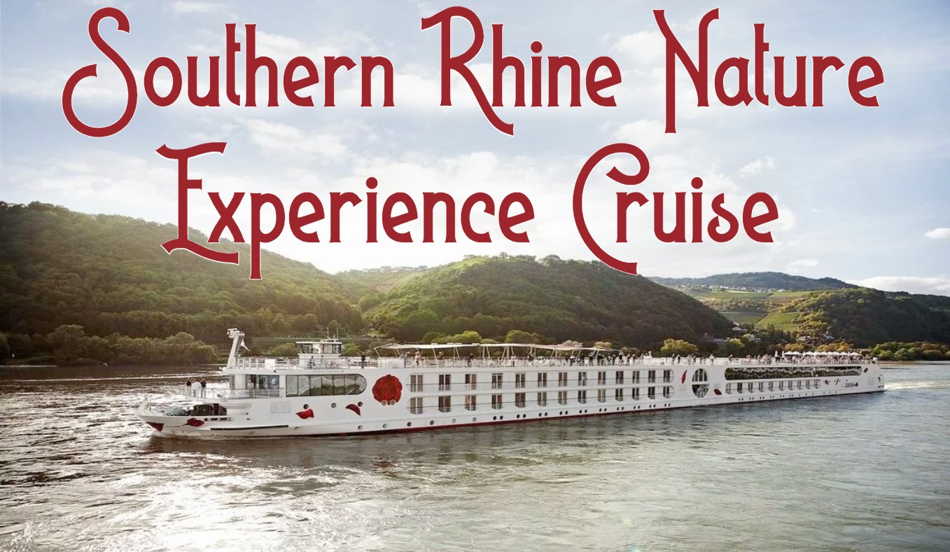 A-ROSA RIVER CRUISE 🛳️ Southern Rhine Nature Experience